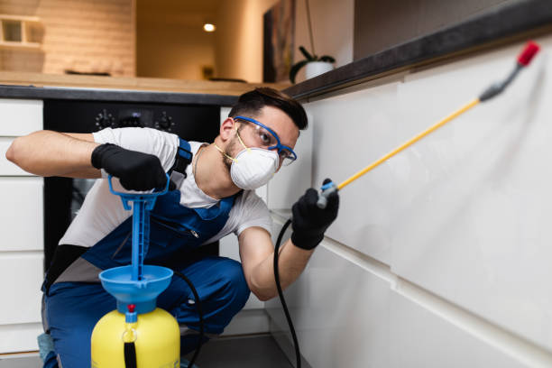 Reliable Forest Ranch, CA Pest Control Solutions