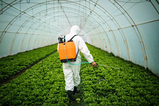 Best Affordable Pest Control Services  in Forest Ranch, CA