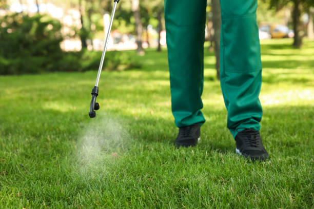 Best Pest Control Near Me  in Forest Ranch, CA