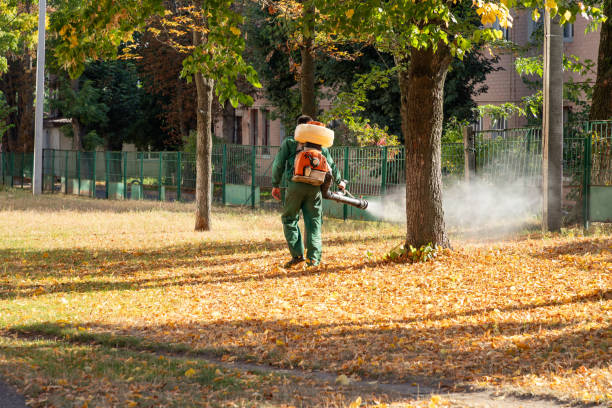 Best Best Pest Control Companies  in Forest Ranch, CA