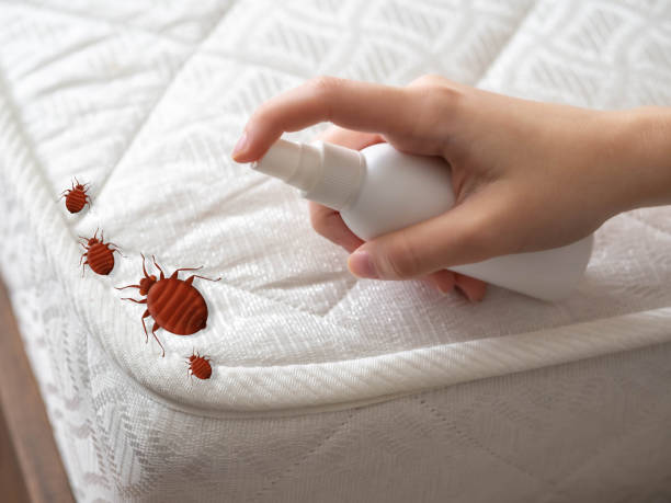  Forest Ranch, CA Pest Control Pros